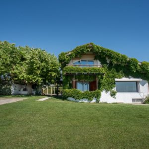 010_003_PJO_4965_dio