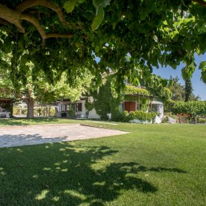 011_005_PJO_4968_dio