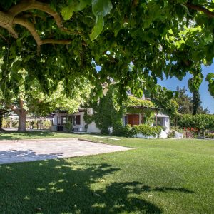 012_009_PJO_4976_dio