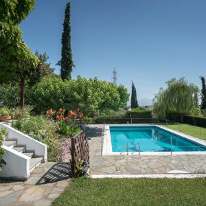 016_023_PJO_4993_dio